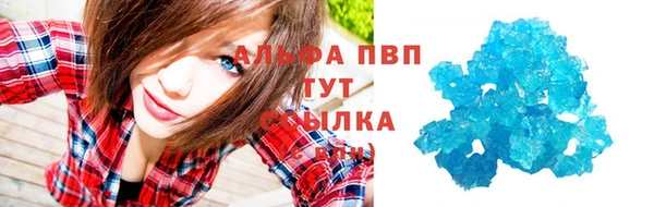 гидра Михайловка