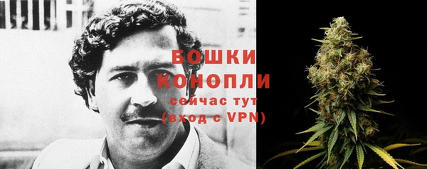 гидра Михайловка