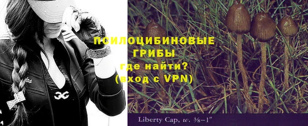 меф Алексин